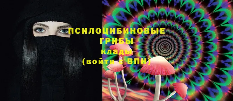 кракен как зайти  Октябрьский  Псилоцибиновые грибы Magic Shrooms 